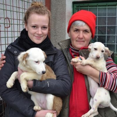 volunteer-and-staff-holding-puppies-while-volunteering-with-animals-in-romania Volunteer and staff with animals in Romania as they work at a local shelter